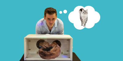 Английские прилагательные для описания предметов